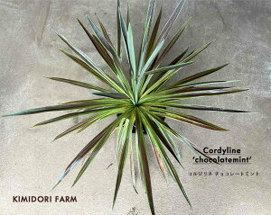 RWl `R[g~g I[XgX `R~g ][g A  hCK[f JtHjAX^C I GXjbN GNXeA Vz j RfBl Z