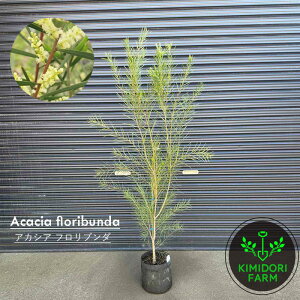 AJVA tu_ to_ I[W[vc I[W[K[f A  A V{c[ A O\A