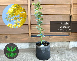 AJVA ~U 60-90cm V{c[  A  LO Vzj  Vo[[t XbO [X j v[g LO A  x_ EbhfbL