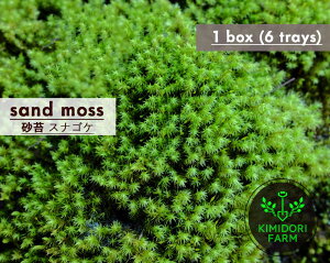 XiSP  1 60cm×30cm(g[6) 1 RP | {뉀 뉀 뉀 O\ A  A g[ a_   a  a뉀