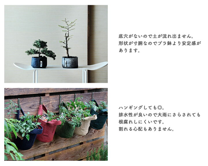 楽天市場 ユーカリポポラス ルーツポーチ セット Rootpouch Black 3h 12l オージープランツ 植木 苗木 シンボルツリー 不織布 割れない 軽い 植木鉢 玄関前 ベランダ ガーデニング サスティナブル エコ 樹緑 Kimidori
