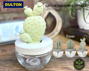 tOX fBt[U[  Mtg [tOX A} F  a jZbNX DULTON JN^X CACTUS FRAGRANCE DIFFUSER T{e CeA  ʕi Mtg v