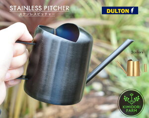 DULTON XeX sb`[ STAINLESS PITCHER  傤 ~jTCY Kтɂ K[fjO ϗtA  CeA X^CbV  Vv  S[h   z