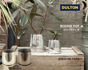 DULTON ROUND POT Eh|bg M 4TCY VCj[J[ Aؔ eRb^ uY S[h Vo[ bronz gold silver A K[fjO ObY