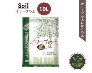 I[u̓y 10L AJ 썻 I[u  A Aւ Â A I[u̖ A  V{c[ vg[t