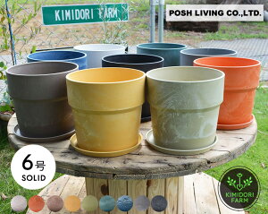  a19.5cm 6 A[ovc|bg POSH LIVING Aؔ ϗtA i` |bVrO SOLID A ꌊ  󂯎Mt |bg URBAN PLANTS POT