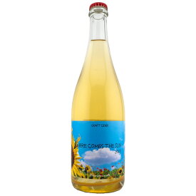【父の日ギフト】HERE COMES THE SUN シードル 2023　ヴェレゾン・ノート　750ml 日本ワイン 長野県