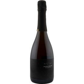 アン サン スパークリング 2021 ジオヒルズ 750ml スパークリングワイン 日本ワイン 長野県 お中元 夏ギフト 暑中見舞い
