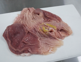 豚内臓　豚ガツ(胃)1頭分(450〜600g) 国産 豚肉 希少部位 販売 新鮮 生 冷凍