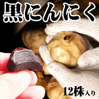 黒にんにく12株入り【青森黒ニンニク】【青森県産黒にんにく】【黒ニンニク通販】【黒にんにく通販】【黒にんにく販売】【黒にんにくお試し】【黒にんにく国産】【黒にんにく青森】【母の日ギフト】【父の日ギフト】【敬老の日ギフト】【健康プレゼント】