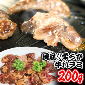 国産 牛ハラミ 200g 牛肉 焼肉 用 はらみ 国産牛ハラミ 味付き【牛肉 バーベキュー BBQ 焼肉】【さがり はらみ】【やわらか サガリ ハラミ】【国産 ハラミ】【焼肉 セット 通販】【税込10,800円以上で送料無料】