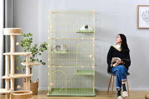  L P[W LbgP[W 3i LQ[W  LbgnEX lR nEX i  ی Eh~ ybgP[W