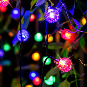 C~l[V O led \[[Cg NX}Xv[g _ ZT[ z [d    O _8p^[ 100 I[ig C~l[VCg  