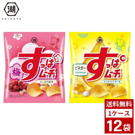 湖池屋 すっぱムーチョ さっぱり梅 さっぱりビネガー チップス 55g×12袋 コイケヤ ポテトチップス ポテチ お菓子 おやつ 詰め合わせ まとめ買い 箱買い 詰め合せ 送料無料 防災 非常食 箱 ケース