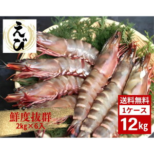  ԊCV L2 20/30 A[`Y 12kg 2kg×6 CN hg  i  ooⓀ 