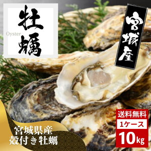 y  {錧Y 10kg Hp Ⓚ H ނg ނ JL {  ooⓀ 