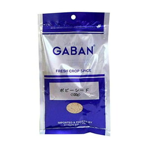 Mo |s[V[h ̎ 100g h Ӟ 傤 Ɩp Hi  