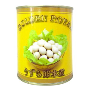 GR 炽܂  ^CY 2 Ɩp Hi  