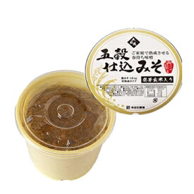 半熟成麦味噌1.8kg(1丁)　（発芽玄米入り）【五穀仕込みそ】【無添加 みそ】【メーカー直送通販】【楽ギフ_包装選択】【楽ギフ_のし宛書】