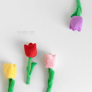 SOLGRA TOY \O  ԃV[Y `[bv( ʂ p ߋ ^ ̂ JVJV  Ck ̃I` I`   킢 pi ObY y
