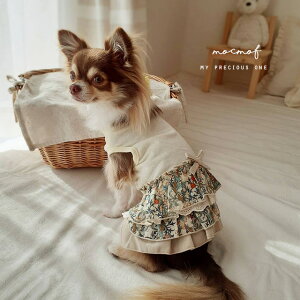 mocmof pet Ntybg ߂hbOEFA [X 622-376833(  hbOEFA  ybg  p t ̎q ^ 킢 uh ̕ ^Ngbv)