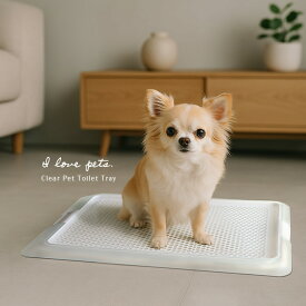 犬用トイレ ペットレー クリアメッシュ Sサイズ(犬 トイレトレー 犬用 トイレ クリア ペットトレー クリアメッシュ おしゃれ スタイリッシュ クリアトイレ 薄型設計 低底式 シンプル 洗いやすい レット)