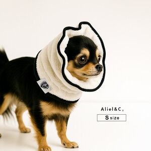 AlielCB A[AhV[ NCbNhC}CNt@Co[^[o S( ^[o  Gh~ p^[o wAoh C G h~ z  }CNt@Co[)