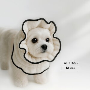 AlielCB A[AhV[ NCbNhC}CNt@Co[^[o M( ^[o  Gh~ p^[o wAoh C G h~ z  }CNt@Co[)