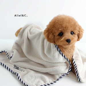 AlielCB A[AhV[ NCbNhC}CNt@Co[ ~joX^I( ^I oX^I ̐@ hC^I p^I ybgp @ z^I C oX o)