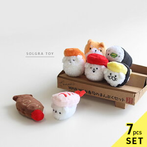 SOLGRA TOY \O  iV[Y i܂ՂZbg( ʂ p ߋ ^ ̂  Ck ̃I` I`  킢  Zb