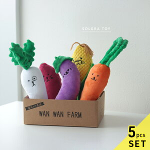 SOLGRA TOY \O  nbs[؃tYBOXZbg( ʂ p ߋ ^ ̂ Zbg JVJV  Ck ̃I`  I`  킢 