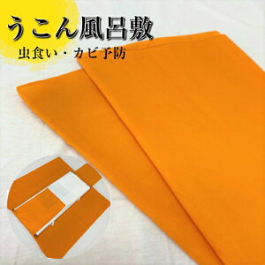 C~ y1031nEB[N[|szERC~ ӂ낵 񕗘C~ ߑ  a a { ERF [ h hJr \h RȂ  ̕