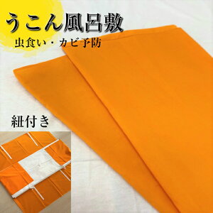 C~ y1031nEB[N[|szERC~ ӂ낵 񕗘C~ ߑ  a a { ERF [ h hJr \h Rt  ̕