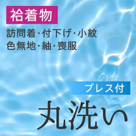 丸洗い　プレス付き　袷着物（訪問着・付下げ・小紋・色無地・紬・喪服）　送料無料