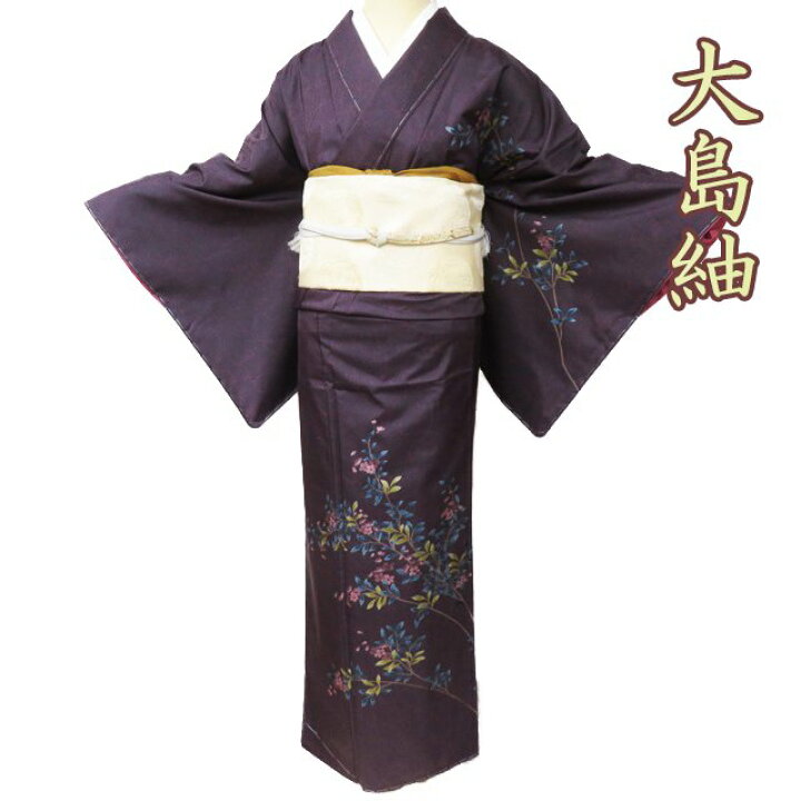 楽天市場】【 未使用 】 大島紬 着物 正絹 袷 セミフォーマル 友禅作家  
