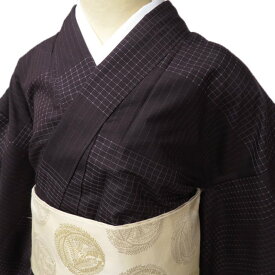 ＼ FINAL PRICE ／ 【 中古 】 紬 着物 リサイクル 正絹 袷 カジュアル 格子模様 線模様 黒鳶色 身丈158cm 裄66.5cm M ワイド A875-1 [ 和服 きもの 紬 普段着 kimono アウトレット 送料無料 きもの北條]