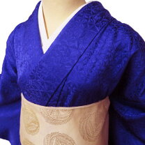 楽天市場】色無地 裄69の通販 