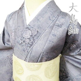 【 未使用 】 特選 大島紬 着物 正絹 袷 カジュアル 花模様 半色 多色 身丈171.5cm 裄68.5cm L トール ワイド A1024-3 [和服 きもの 紬 普段着 kimono アウトレット 送料無料 きもの北條]
