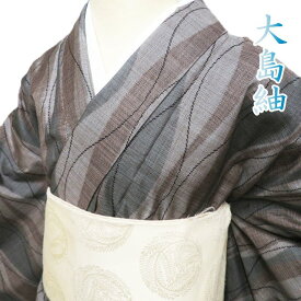 【 中古 】 大島紬 リサイクル着物 正絹 袷 カジュアル 立涌模様 茶系色 多色 身丈159cm 裄66cm M ワイド A1178-3 [和服 きもの 紬 普段着 kimono アウトレット 送料無料 きもの北條]