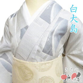 【 中古 】 特選 本場 大島紬 白大島 リサイクル着物 正絹 袷 ラベル付き 作家物 オフホワイト 青系色 身丈162cm 裄68.5cm M A1320-3 [初詣 お出かけ 観劇 着付け教室 趣味着 街着 普段着 送料無料 きもの北條]
