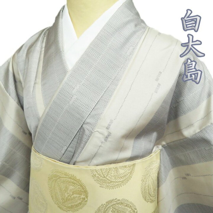 楽天市場】【 中古 】 特選 大島紬 白大島 着物 正絹 袷 カジュアル 縦 