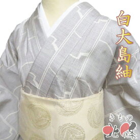 【 中古 】 特選 大島紬 白大島 リサイクル着物 正絹 袷 カジュアル 7マルキ 瓦模様 オフホワイト 黒色 身丈157cm 裄64.5cm M A1319-4 [初詣 お出かけ 観劇 着付け教室 趣味着 街着 普段着 送料無料 きもの北條]