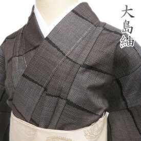 ＼ FINAL PRICE ／ 【 中古 】 大島紬 リサイクル着物 焦茶色 ワイド 丈163cm 裄64cm Lサイズ モダンな和の装いに A762-7 [ 正絹 袷 紬 着物 中古 アウトレット 送料無料 きもの北條]