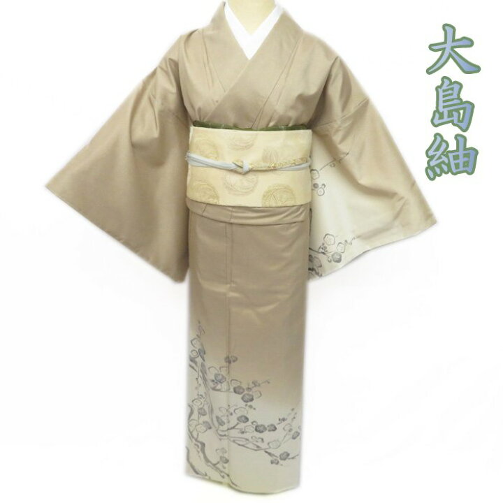 楽天市場】【 中古 】 大島紬 付下げ 付け下げ 訪問着 リサイクル着物 