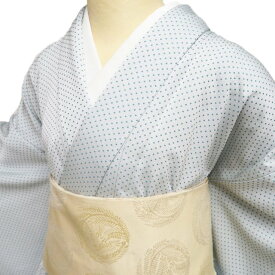 【 中古 】 小紋 リサイクル着物 正絹 単衣 カジュアル 水玉模様 点模様 水色 浅葱色 身丈160cm 裄68.5cm M A1270-9 [和服 観劇 お食事 普段使い 街着 茶席 きもの kimono 送料無料 きもの北條]
