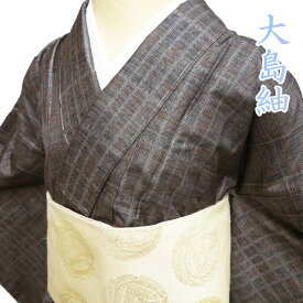【 未使用 】 大島紬 着物 正絹 袷 カジュアル 焦茶色 多色 身丈161cm 裄66.5cm M A1120-15 [和服 きもの 紬 普段着 kimono アウトレット 送料無料 きもの北條]