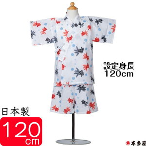 yX[p[SALE30OFFz r rq q ̎q j̎q Ԃ xr[ 7 8 120cm LbY {[C K[ { {u ` {   100 a ÓT   Ƃ 