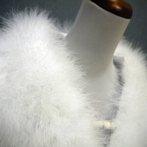 ylCizl@V[@Hс@tFU[V[@Up@ӂӂ@؁@Xg[@ӂ肻Ł@t@[@ }{[@F@zCg@Ǝ@Ӊ p