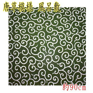 yz͗l C~ l 100 { 90cm ΐF ꏡ ӂ낵  a  24 n 炭 킢 唻