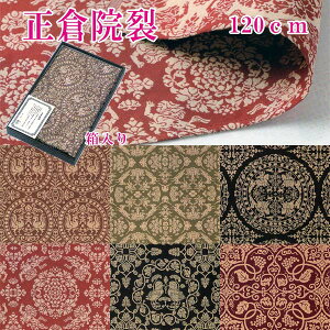 yzq@ C~ 120cm wD 100 ӂ낵 Mtg v[g Ԃ 啗C~  oP ` Rr O[  R q AJ 񓂑  T